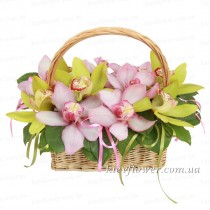 Basket 